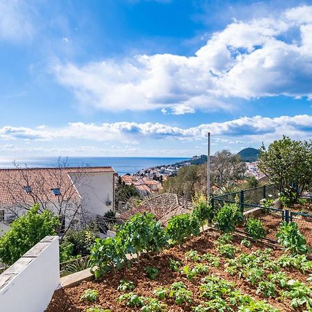 Apartment Debos Dubrovnik Eksteriør billede