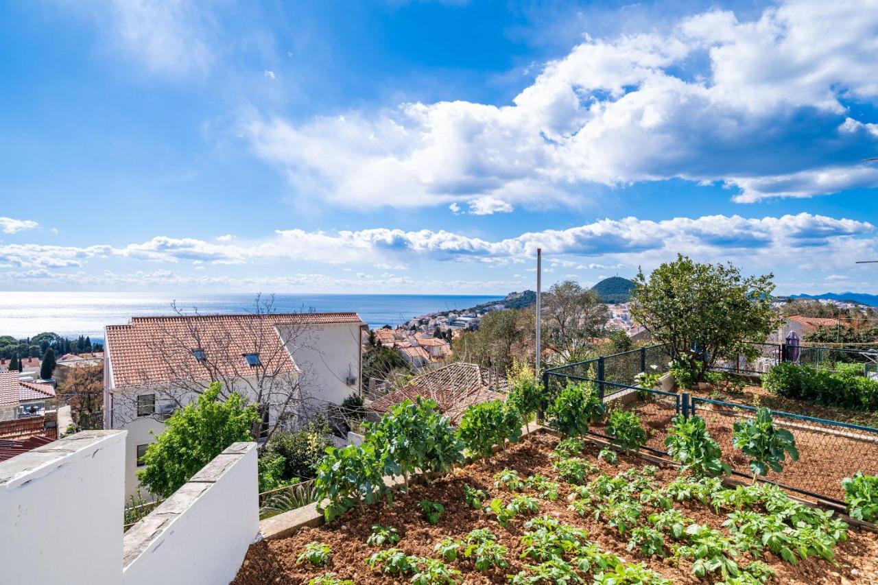 Apartment Debos Dubrovnik Eksteriør billede